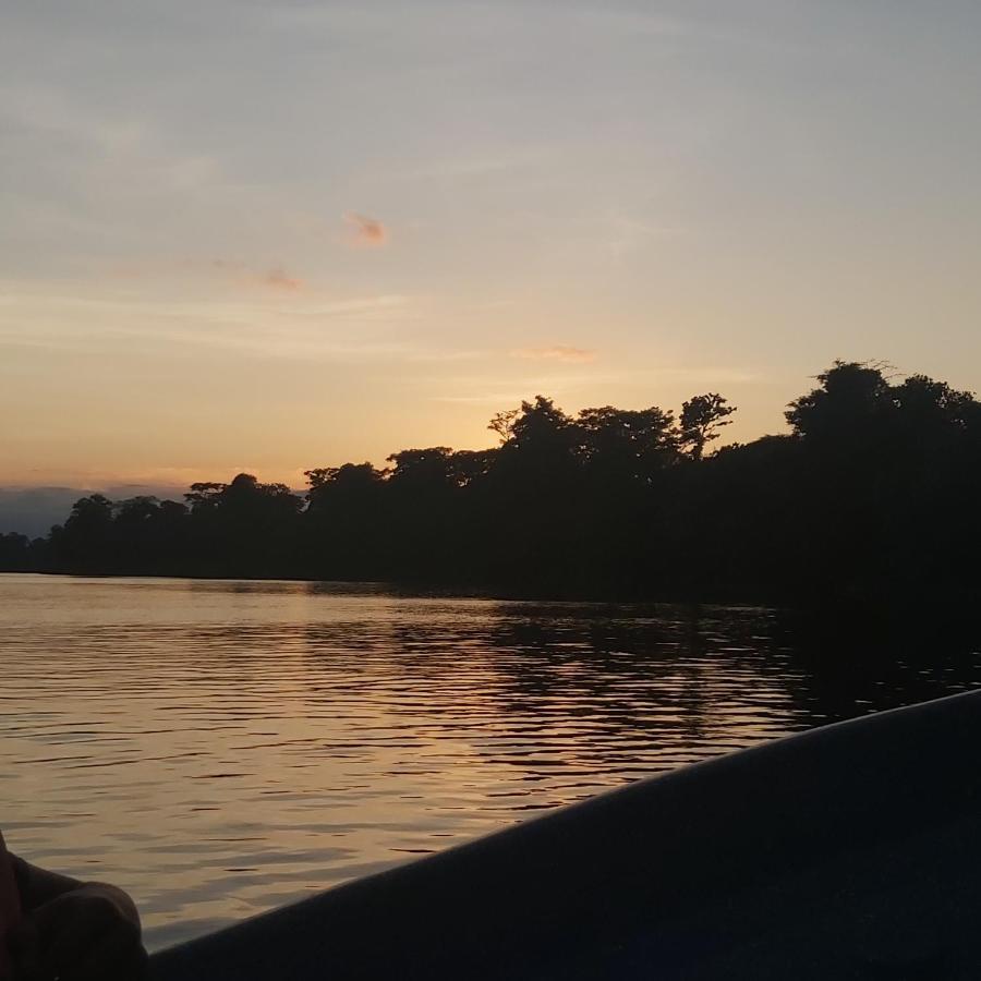 Cabañas Daneysha Tortuguero Exterior foto