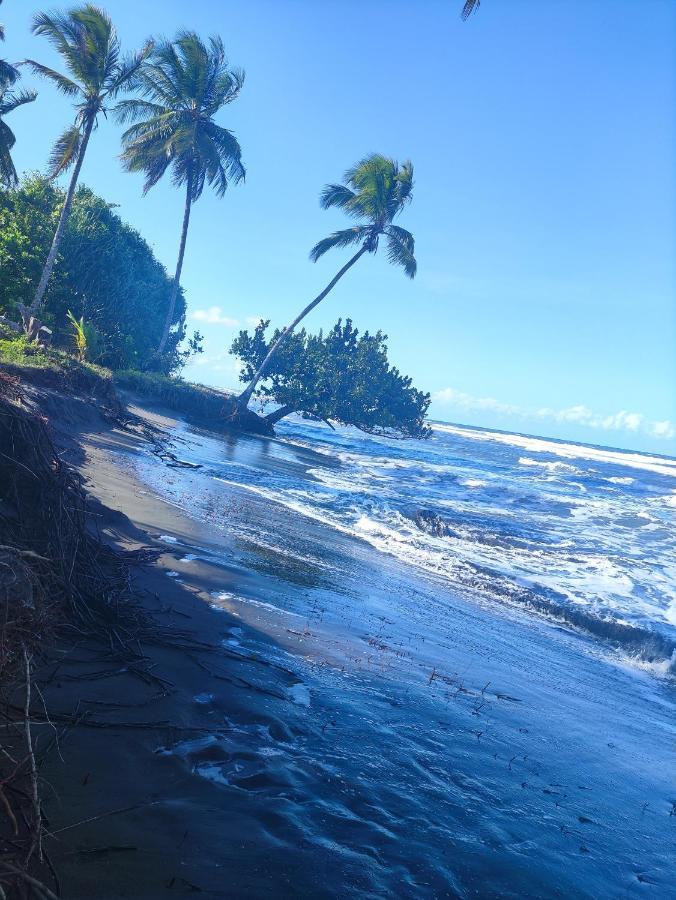 Cabañas Daneysha Tortuguero Exterior foto