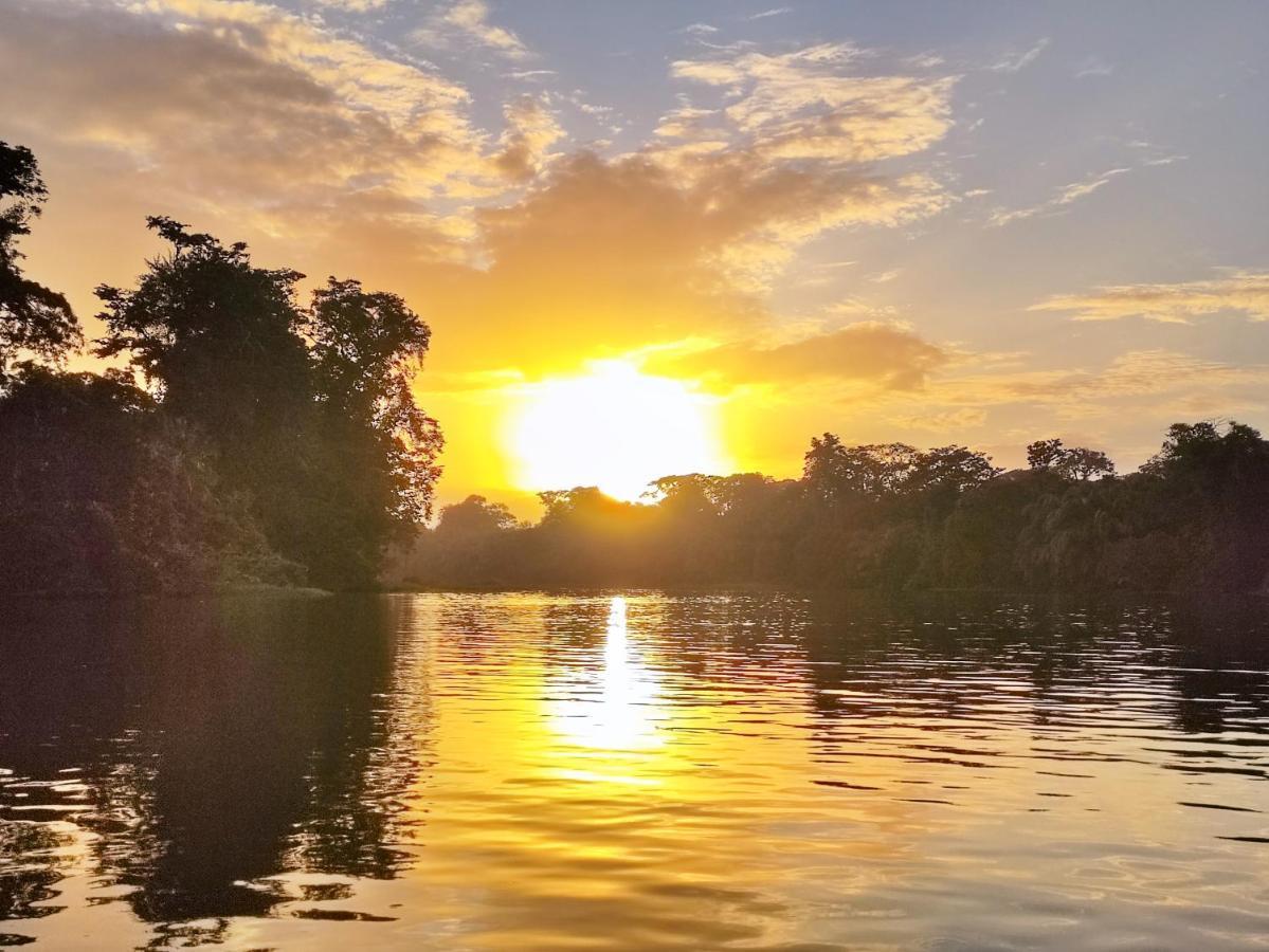 Cabañas Daneysha Tortuguero Exterior foto