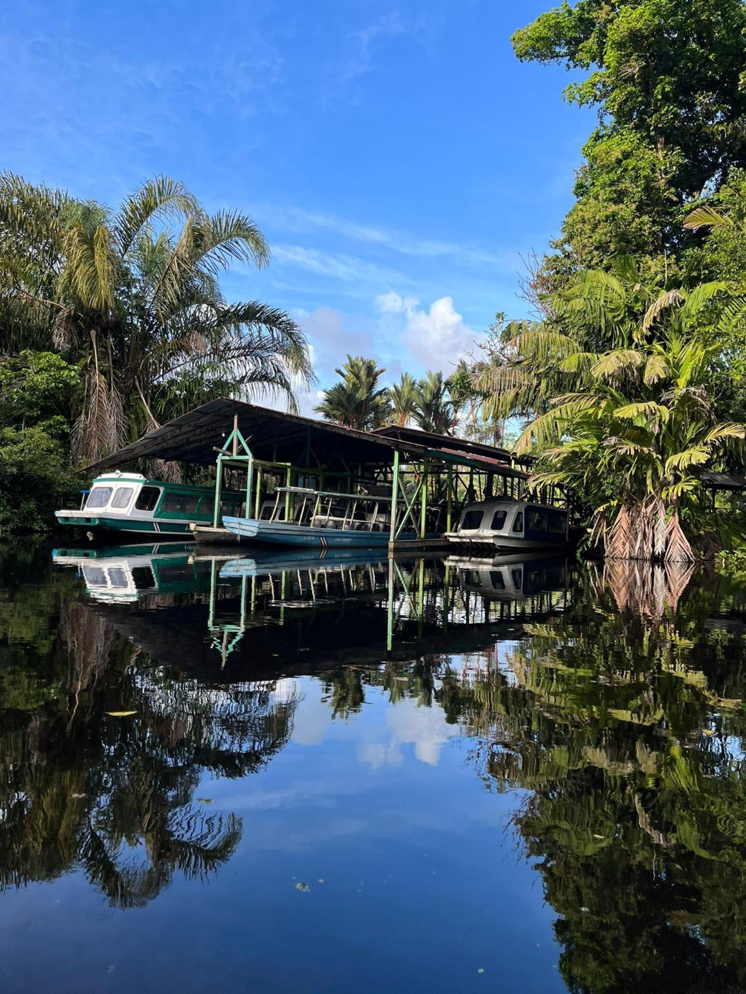 Cabañas Daneysha Tortuguero Habitación foto