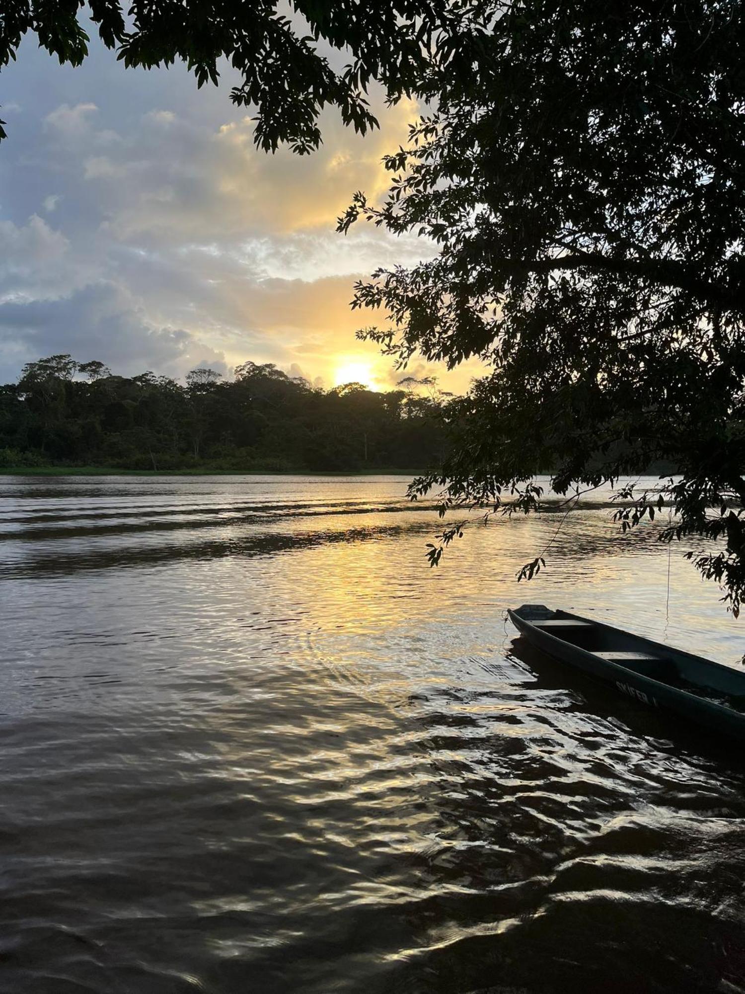 Cabañas Daneysha Tortuguero Habitación foto